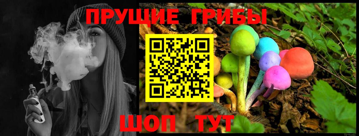 Галлюциногенные грибы Psilocybine cubensis  наркошоп  Ленинск-Кузнецкий  Вход с VPN 
